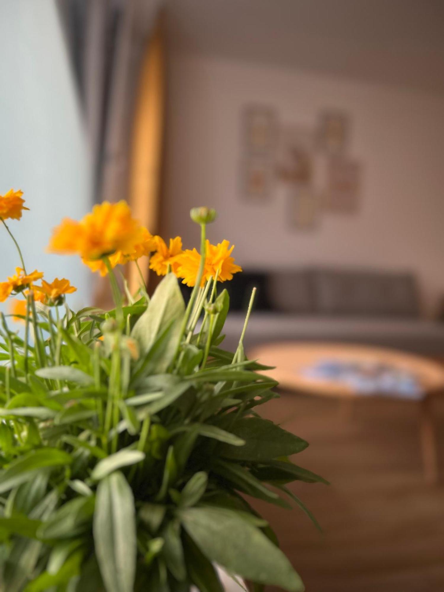 Ferienwohnung Sonneck 上施陶芬 外观 照片